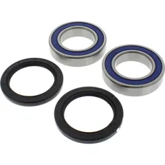 Wheel bearing and seal kit 251132