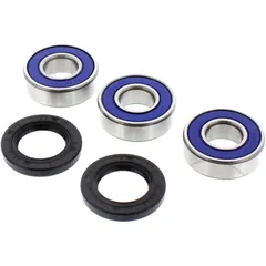 Radlagersatz komplett All Balls Racing für Motorräder 7520563