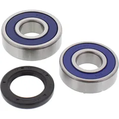 Wheel bearing and seal kit 251237