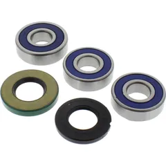 Wheel bearing and seal kit 251264