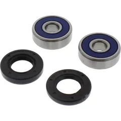 Wheel bearing and seal kit 251296