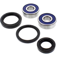 Wheel bearing and seal kit 251307