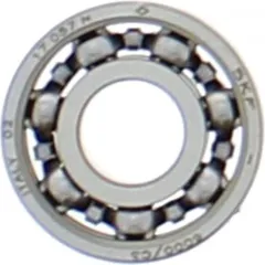 bearing 6000 c3 skf