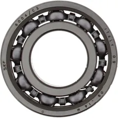 bearing 6004 c3 skf