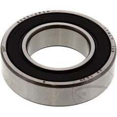 bearing 6005 2rs skf