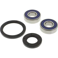 Wheel bearing and seal kit 251472