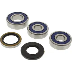 Wheel bearing and seal kit 251544