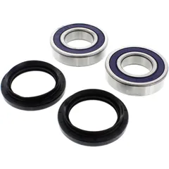 WHEEL BEARING KIT COMPLETE for Motorcycles All Balls Racing with Seals
