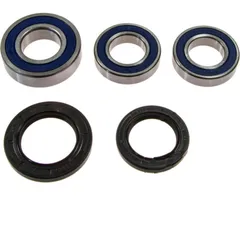 Wheel bearing and seal kit 251493