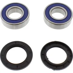 Wheel bearing and seal kit 251511