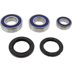Wheel bearing and seal kit 251547