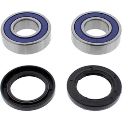 Wheel bearing and seal kit 251562
