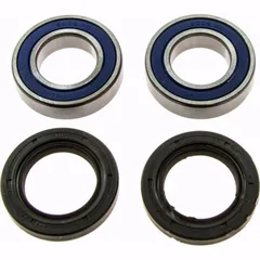Wheel bearing and seal kit 251569