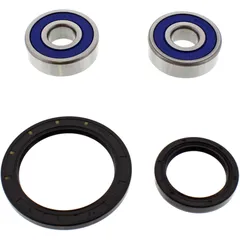 Wheel bearing and seal kit 251585