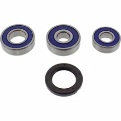Wheel bearing and seal kit 251599