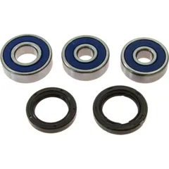 Wheel bearing and seal kit 251600
