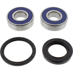 Wheel bearing and seal kit 251601
