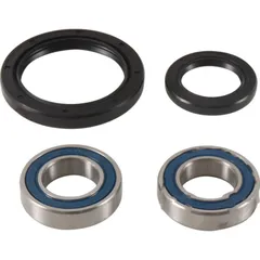 Wheel bearing kit complete all balls racing 251753
