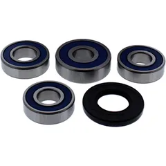 Radlagersatz komplett All Balls Racing mit Dichtungen für Motorräder 7521391