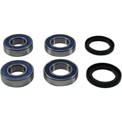 Wheel bearing kit complete all balls racing 251818