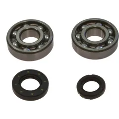 Crankshaft bearing kit 241002