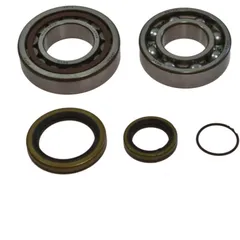 Crankshaft bearing kit 241098