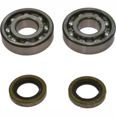 Crankshaft bearing kit 241044