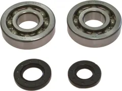 Kurbelwellenlager Satz All Balls Racing mit Wellendichtring passend für: Kawasaki KX 7560134