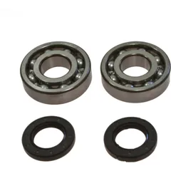 Crankshaft bearing kit 241011
