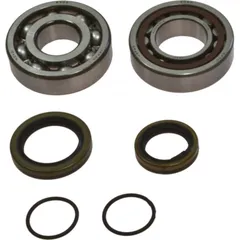 Crankshaft bearing kit 241097