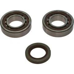 Crankshaft bearing kit 241106