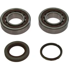 Crankshaft bearing kit 241105