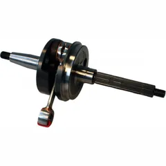 Crankshaft 100010310