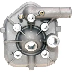 Cylinder head NARAKU for: Peugeot Speedfight