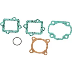 Gasket kit 70CCM 100689730