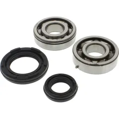 crankshaft Bearing Set 241034