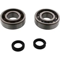 crankshaft Bearing Set P400420444003