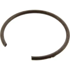Circlip (orig spare part) 875096