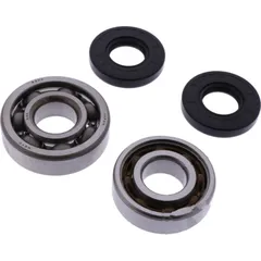 Crankshaft bearing kit athena