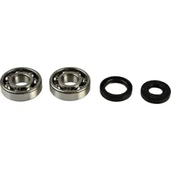 Crankshaft bearing kit P400250444001