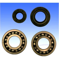 Crankshaft bearing kit ATHENA for: Fantic XX