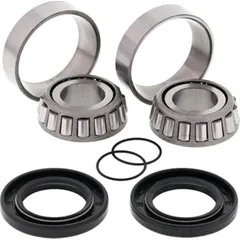 Swing arm bearing kit 281058