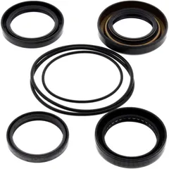 Differential Reparatursatz hinten All Balls Racing passend für: Honda TRX 7731679