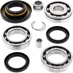 Differential Reparatursatz hinten All Balls Racing passend für: Honda TRX 7731682