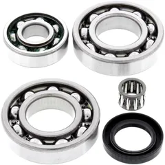 Differential Reparatursatz hinten All Balls Racing passend für: Kawasaki KLF