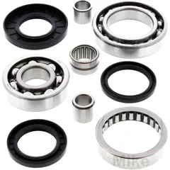 Diff repair kit rear all balls racing 252021