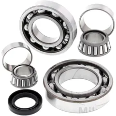 Differential Reparatursatz hinten All Balls Racing passend für: Kawasaki KLF 7731701