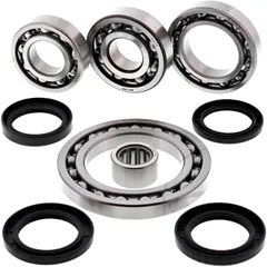 Differential Reparatursatz hinten All Balls Racing passend für: Suzuki LT - F