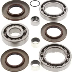 Diff repair kit rear all balls racing 252080
