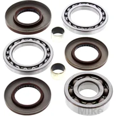 Diff repair kit rear all balls racing 252081